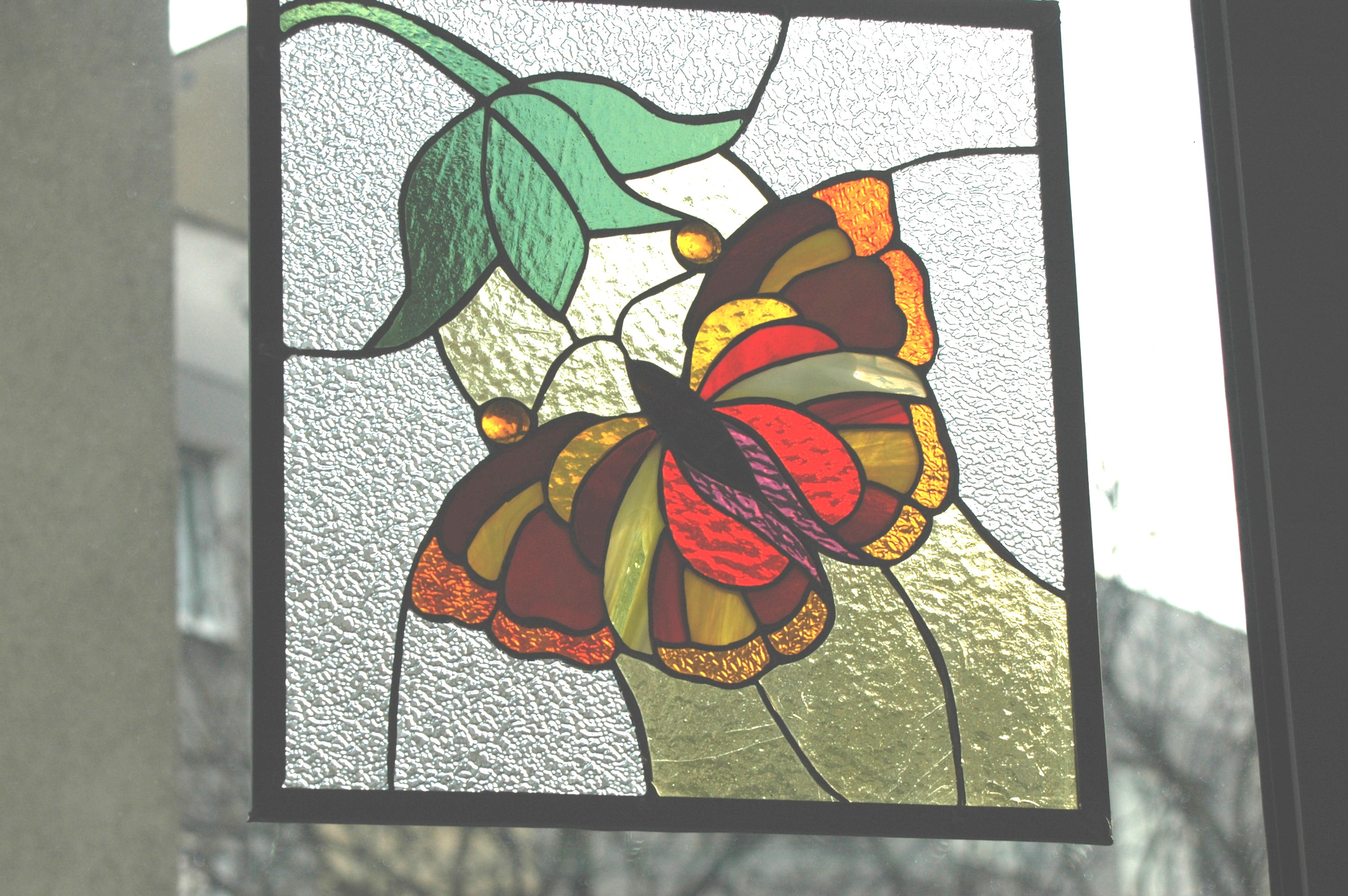 motyl Go¶ki